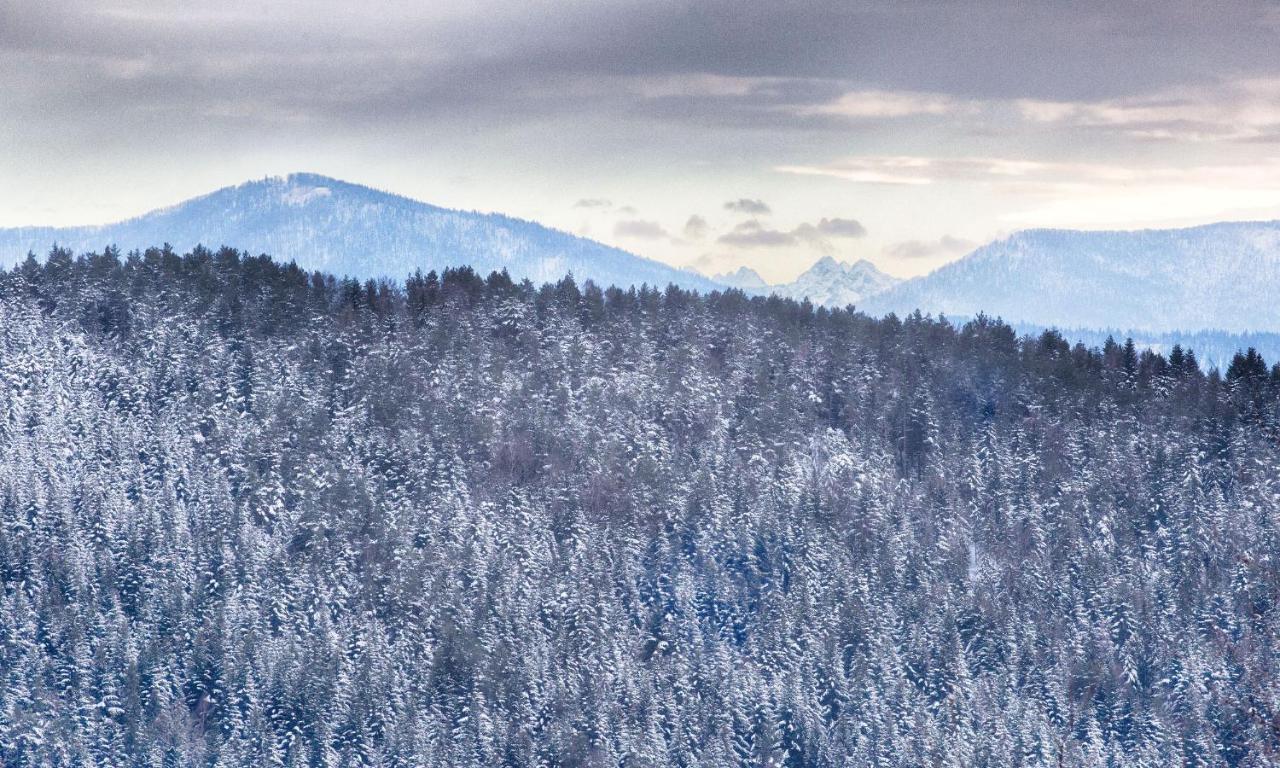 Sloneczny Chelm - Apartamenty W Gorach, Prywatna Sauna Jacuzzi Balia W Cenie, Spa, Grill, Stok Narciarski Myslenice, Sciezki Rowerowe, Rzeka Raba, Widok Na Tatry Buitenkant foto
