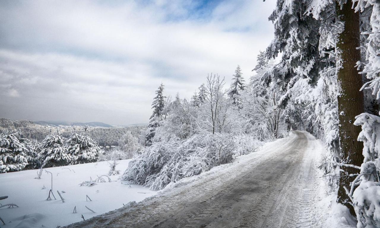 Sloneczny Chelm - Apartamenty W Gorach, Prywatna Sauna Jacuzzi Balia W Cenie, Spa, Grill, Stok Narciarski Myslenice, Sciezki Rowerowe, Rzeka Raba, Widok Na Tatry Buitenkant foto