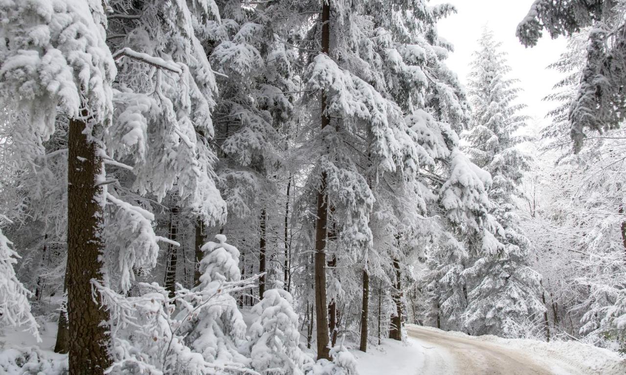 Sloneczny Chelm - Apartamenty W Gorach, Prywatna Sauna Jacuzzi Balia W Cenie, Spa, Grill, Stok Narciarski Myslenice, Sciezki Rowerowe, Rzeka Raba, Widok Na Tatry Buitenkant foto