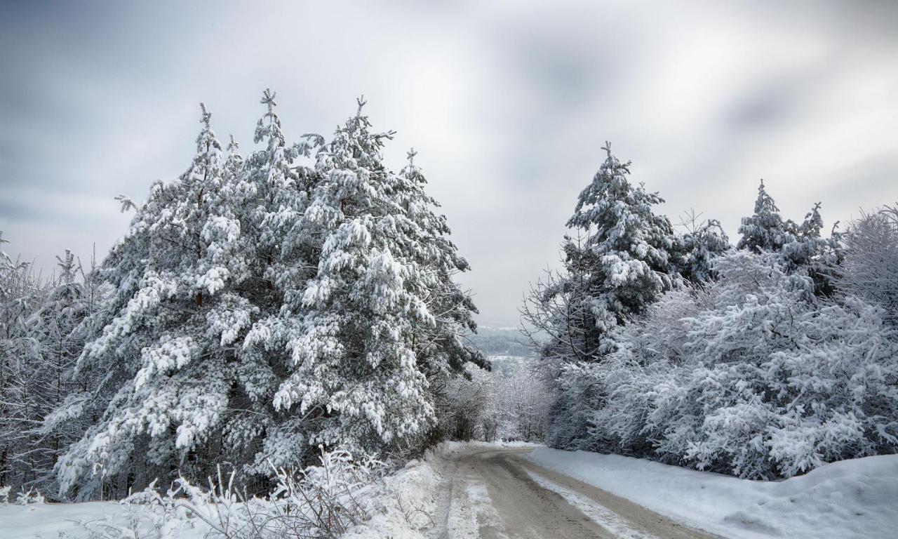 Sloneczny Chelm - Apartamenty W Gorach, Prywatna Sauna Jacuzzi Balia W Cenie, Spa, Grill, Stok Narciarski Myslenice, Sciezki Rowerowe, Rzeka Raba, Widok Na Tatry Buitenkant foto