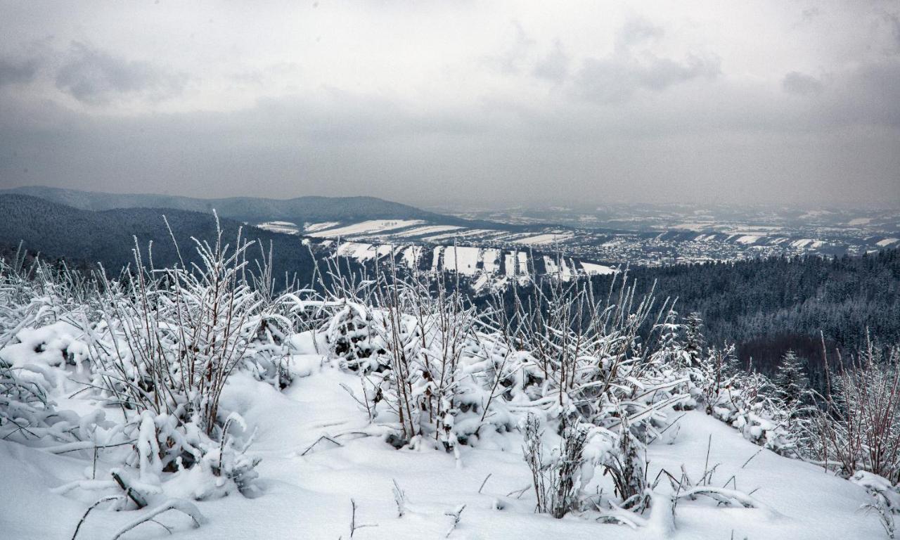 Sloneczny Chelm - Apartamenty W Gorach, Prywatna Sauna Jacuzzi Balia W Cenie, Spa, Grill, Stok Narciarski Myslenice, Sciezki Rowerowe, Rzeka Raba, Widok Na Tatry Buitenkant foto